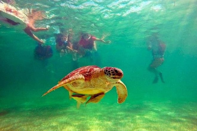 Tulum Ruins, Akumal Turtles & Cenote Combo Tour photo 3