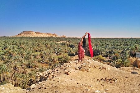 Explore Siwa Oasis: Desert Safari, Ancient Ruins & Relaxation