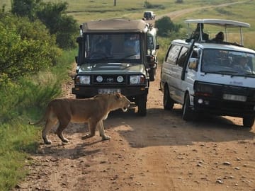 Nairobi National Park Wildlife Game Drive Tour