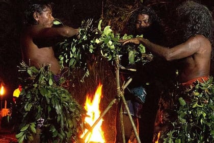 Full Day Tour to Remote Jungle Village