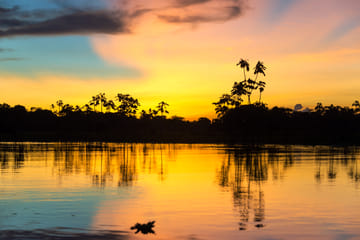Two-Day Amazon Rainforest Adventure from Iquitos