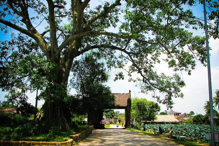 Discover Duong Lam Ancient Village and Hanoi’s Rural Life Tour