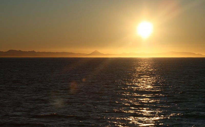 Reykjavik Evening Whale Watching Cruise in Arctic