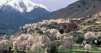 Asni & Tassa Ouirgane Full-Day Trip 1