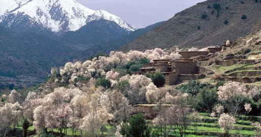 Asni & Tassa Ouirgane Full-Day Trip