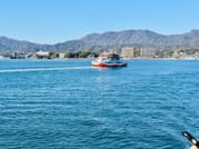 Hiroshima Station to Miyajima and Peace Park Private Tour 4
