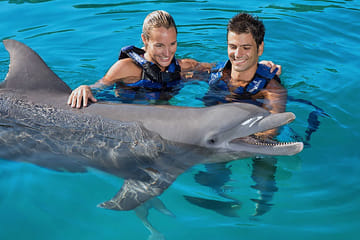 Tulum Archaeological Tour and Dolphin Adventure Experience