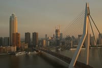 Rotterdam, The Hague & Delft Private VIP Car Tour 9