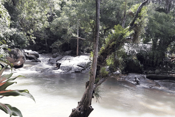 Hiking the Hin Lad Waterfall Trail
