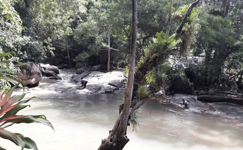 Hin Lad Waterfall Hiking Tour in Ko Samui, Thailand