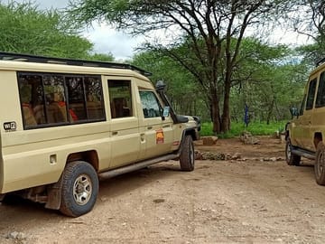 4*4 Safari Vehicle
