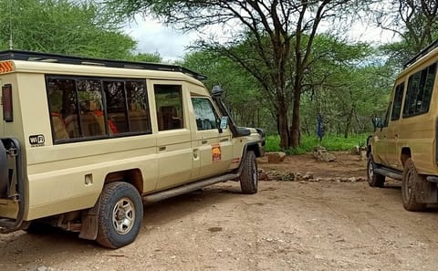 Tarangire National Park Day Trip from Arusha