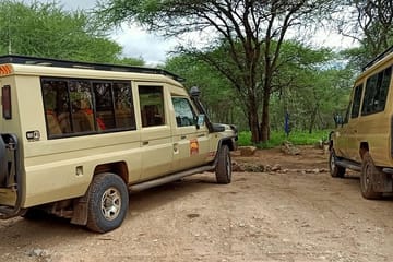 Tarangire National Park Day Trip from Arusha