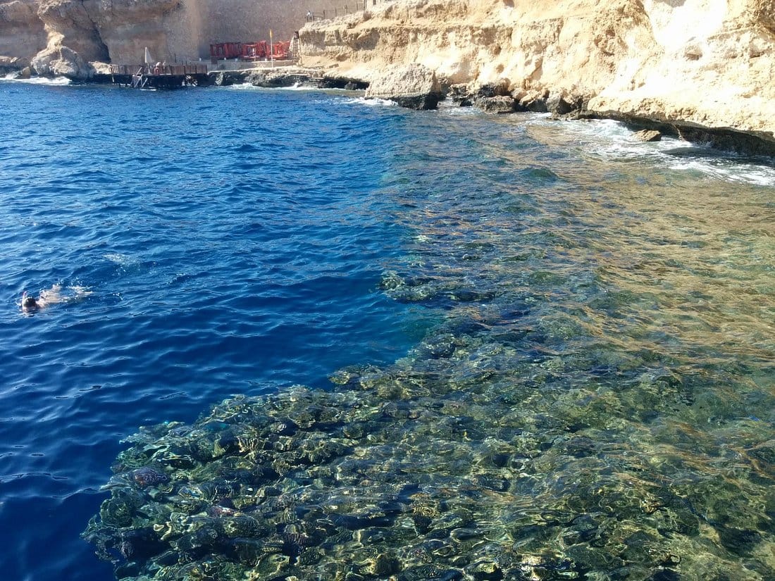 trip to the Valley of the Nile