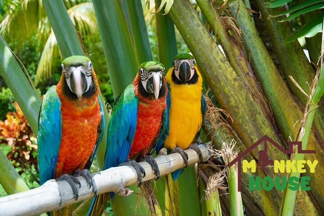 2x1: City Tour & Monkey Encounter tour combo Puerto plata 3