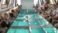 Water Sports Adventurous Day Out Trip in Sharm El Sheikh 9
