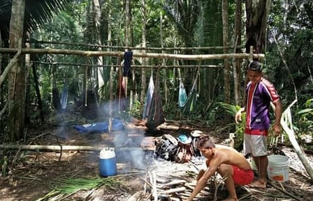 Amazon Jungle Trek and Anavilhanas Archipelago Tour in Manaus