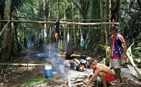 Amazon Jungle Trek and Anavilhanas Archipelago Tour in Manaus