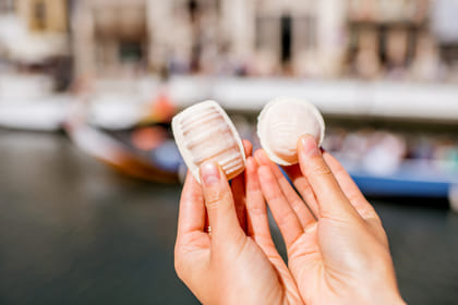 Combo: Porto City Half-Day Tour & Aveiro Half-Day Tour