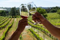 Albufeira Wine Tasting: Boutique Winery Tour & Historic Silves 1
