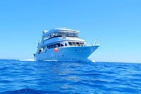 Marsa Mubarak Intro Dive &amp; Snorkeling with Transfer : Marsa Alam