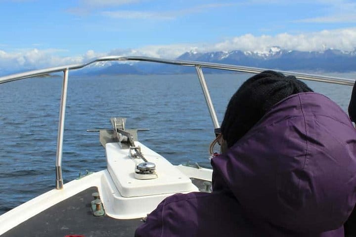 Beagle Channel and Sea Lions Island Catamaran Cruise 8