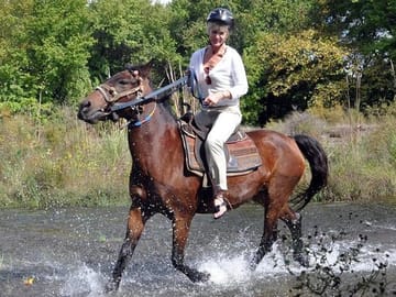 Horse Safari