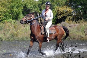 Horseback Riding Adventure from Kuşadası Port for Cruise Guests