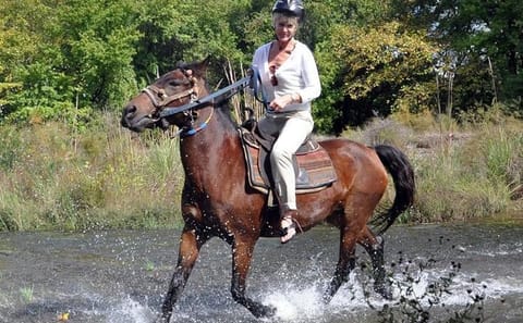 Horseback Riding Adventure from Kuşadası Port for Cruise Guests