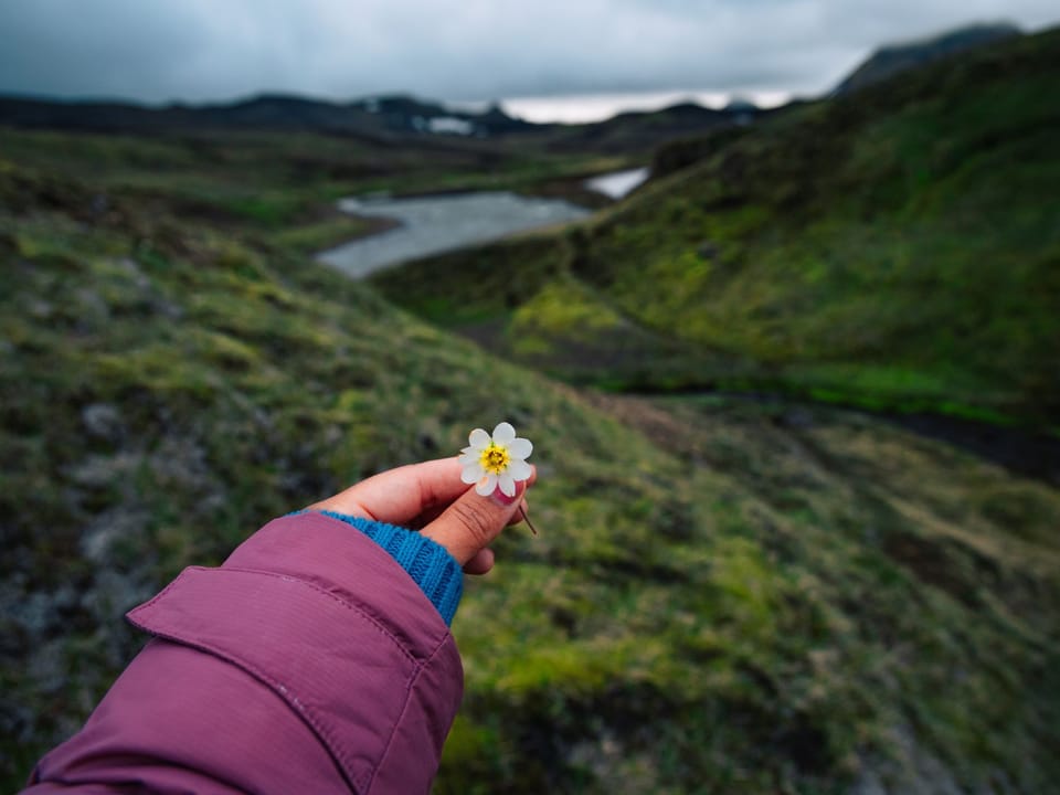 "Not in your guidebook" Adventure | Day Tour | Midgard — Midgard Adventure