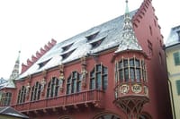 Freiburg im Breisgau Walking tour With A Professional Guide 3