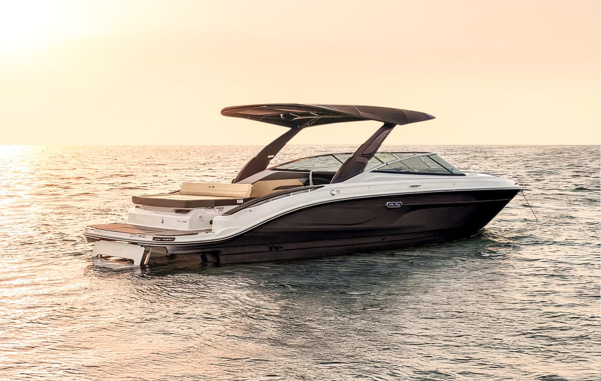 ❖ Sea Ray SDX | Private