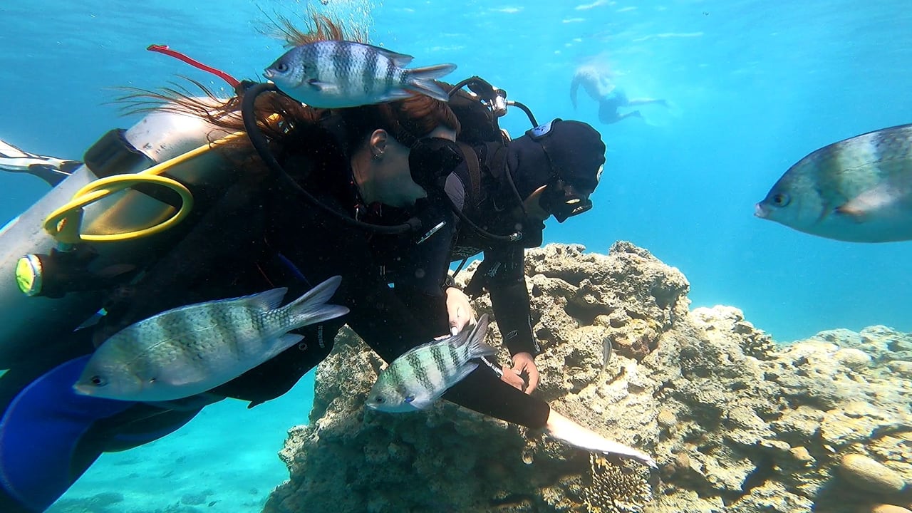 Premium Scuba Diving for Beginners, 2 Diving Stops & Lunch - Hurghada