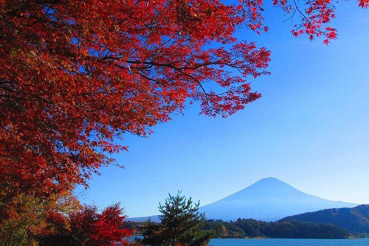 Full Day Tour in Mount Fuji and Oishi Park with Fruit Picking