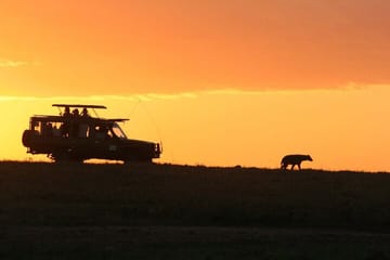 Night Game Drive at Nairobi National Park