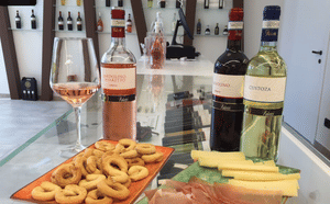 Tasting of 6 rosè and white wines in Bardolino with Lake View