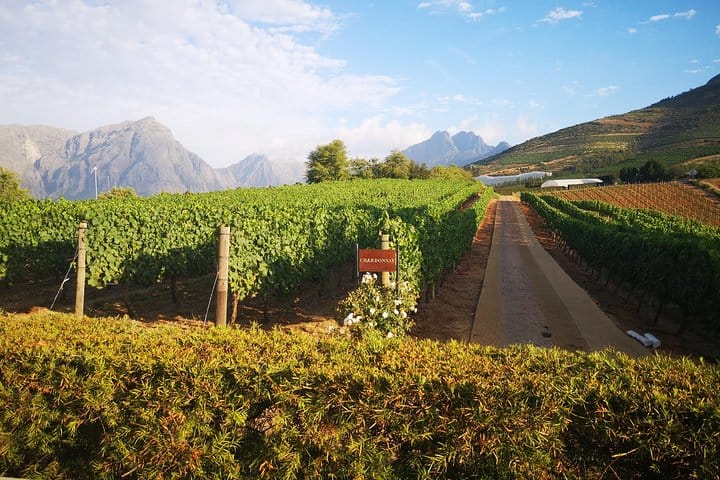 Delair Graff Vineyards