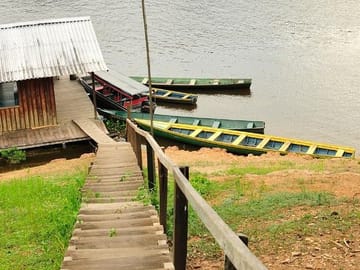 4-Day Manaus Amazon Jungle Adventure
