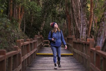 Nahuel Huapi Lake Cruise with Victoria Island and Arrayan Forest Walk