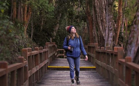 Nahuel Huapi Lake Cruise and Hike on Victoria Island