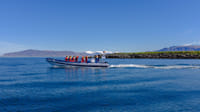 One of our custom designed RIB boats, Þruma IV or Thunder