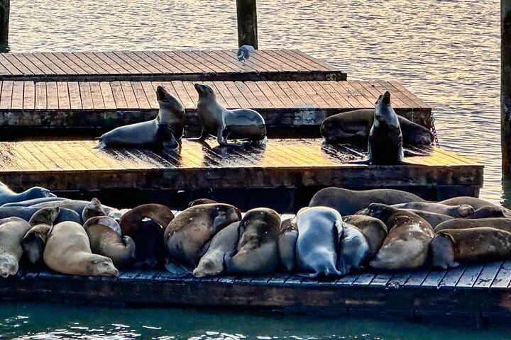 San Francisco's Fisherman's Wharf Self Guided Walking Tour 9