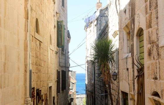 Private Korčula & Pelješac Vineyards Tour by car – from Dubrovnik