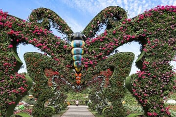 Pass Ticket to Miracle Garden from Dubai