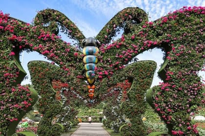 Pass Ticket to Miracle Garden from Dubai