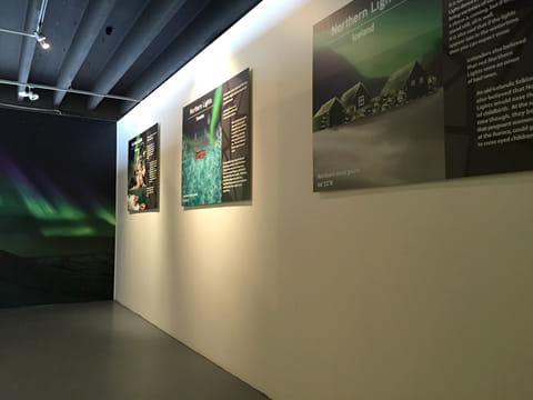 Reykjavík Northern Lights Cruise & Aurora Exhibition, photo 4