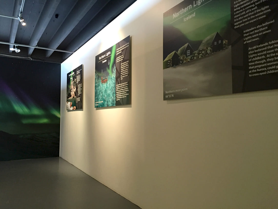 Reykjavík Northern Lights Cruise & Aurora Exhibition 4