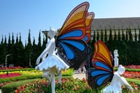  Dubai Butterfly Garden Admission Ticket 3