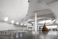 Best Museums of São Paulo Combined with a Panoramic Sightseeing 5