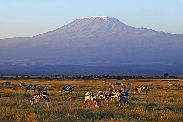3-Day Amboseli and Tsavo West from Nairobi